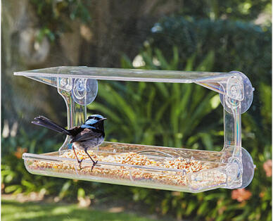 Window Bird Feeder