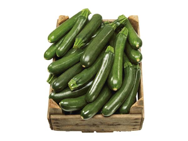 Zucchini
