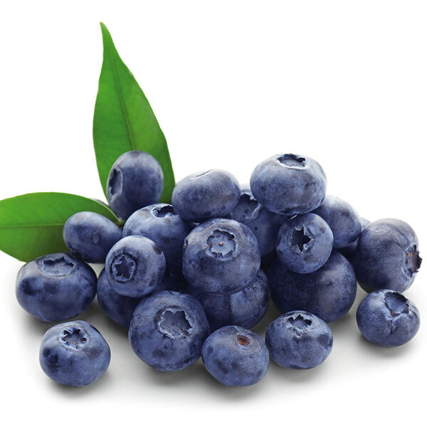 Premium Heidelbeeren