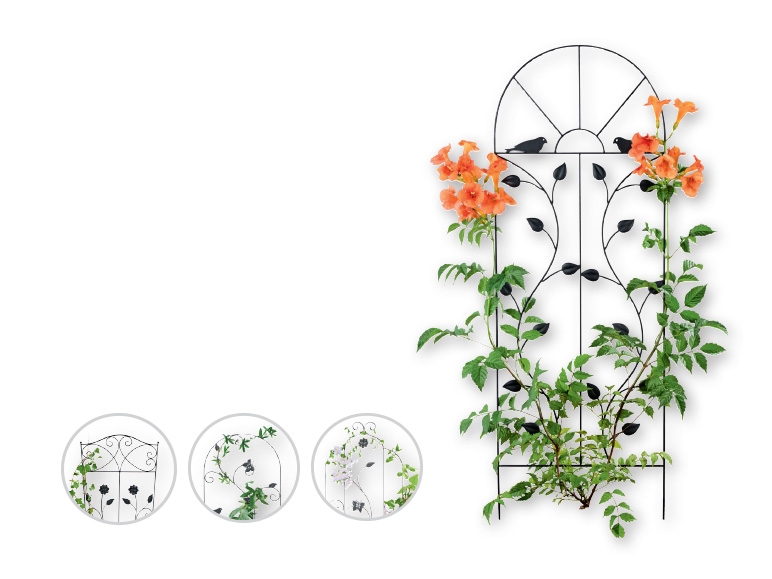 FLORABEST(R) Trellis