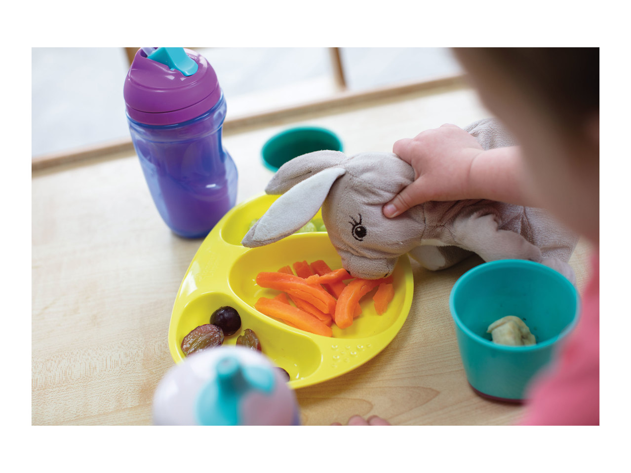 Tommee Tippee Section Plates1