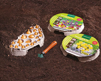 Flowering Bulb Tray