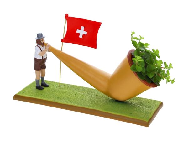 Peperomia in corno alpino