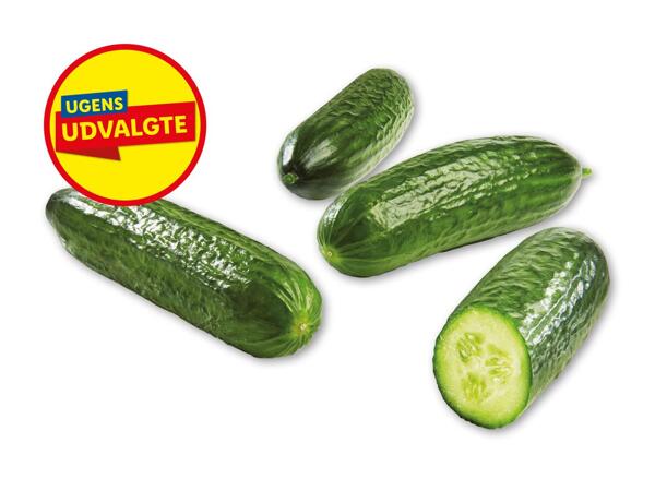Danske skoleagurker