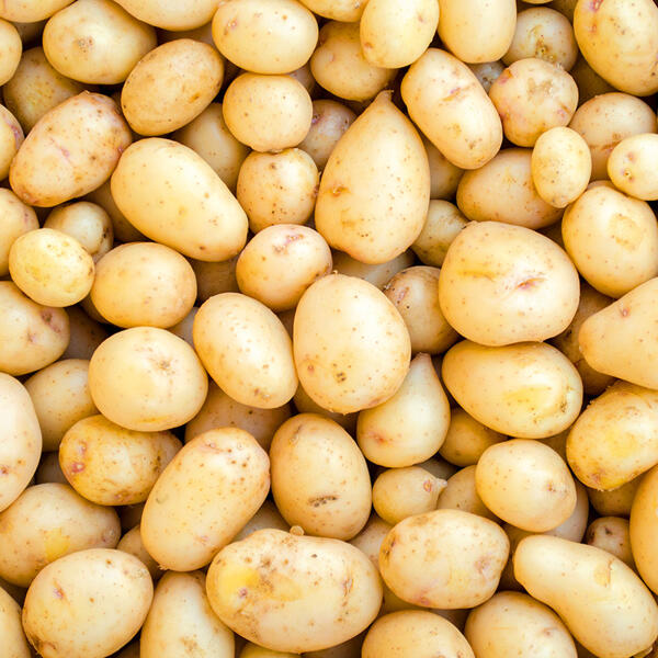 Speisekartoffeln