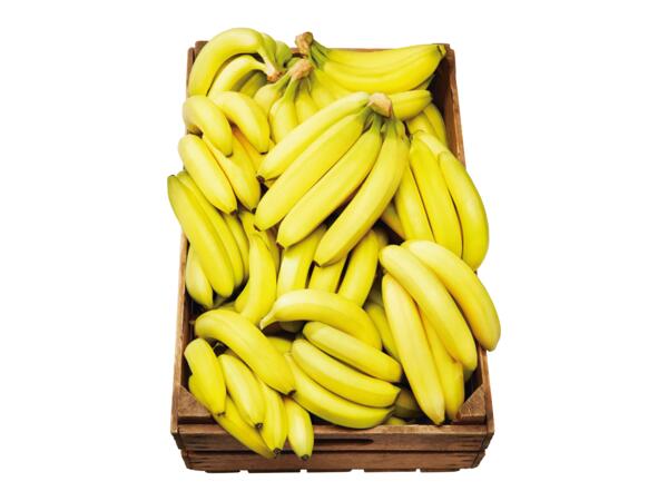 Bananer