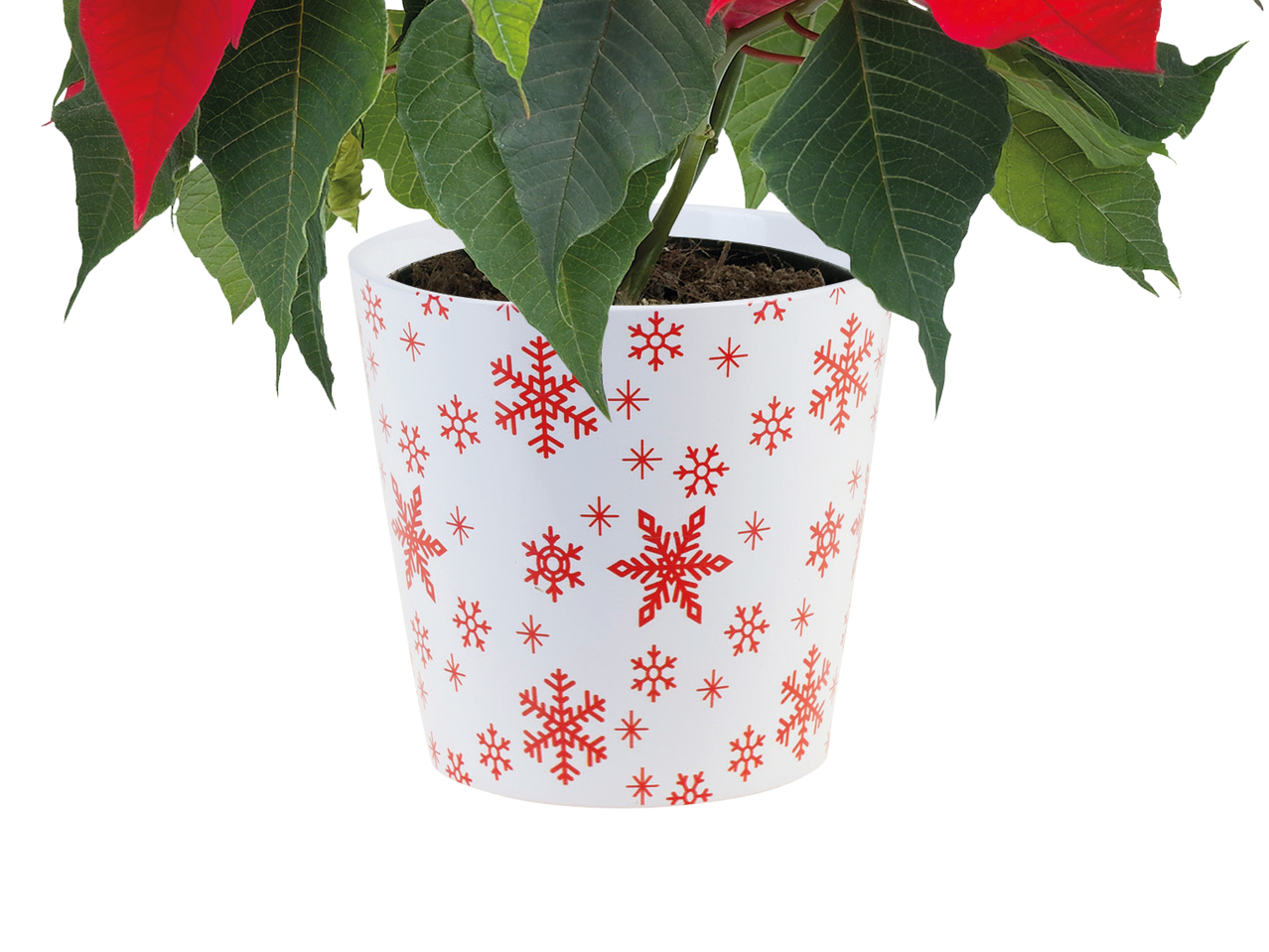 Ceramic Christmas Pot1