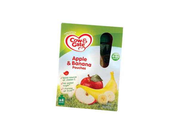FRUIT POUCH