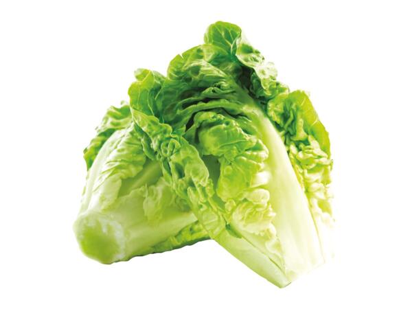 Little Gem Lettuce