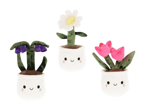 Fleurs Bobballs