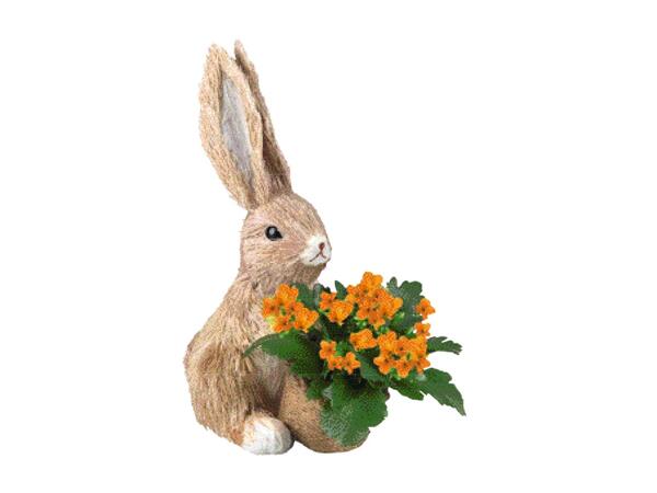 Small Bunny Arrangement