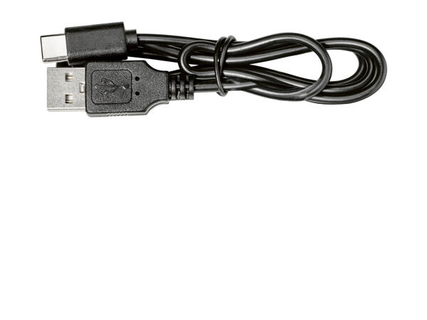 Parkside Cordless LED Light