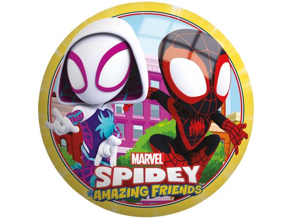 Kids' Character PVC Ball