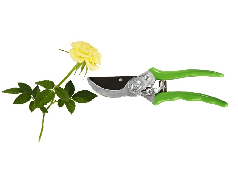 Secateurs