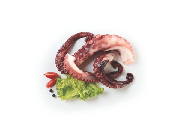 Octopus Tentacles