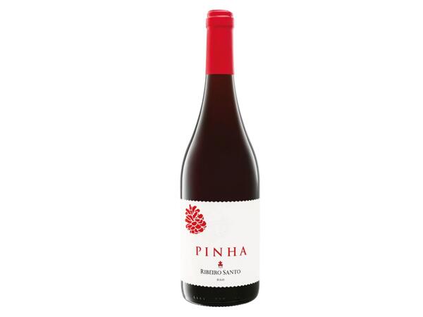 Pinha Ribeiro Santo