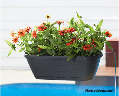 Decorative Garden Pots