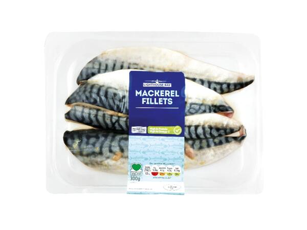 3 Mackerel Fillets