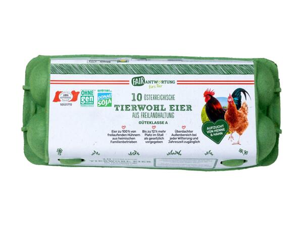 Tierwohl Eier