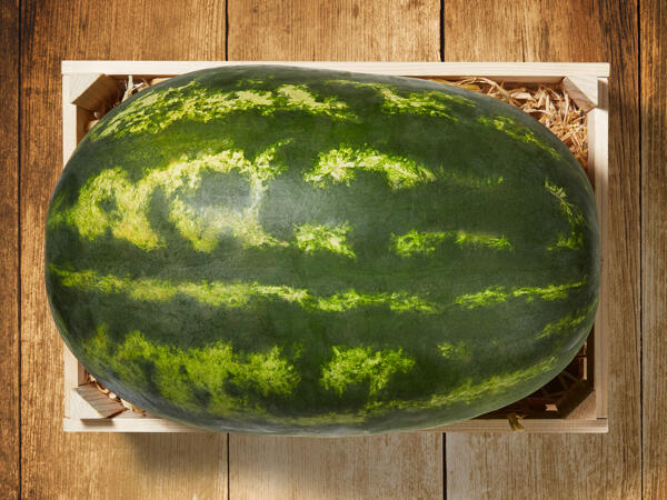 Wassermelonen Dumara XXL