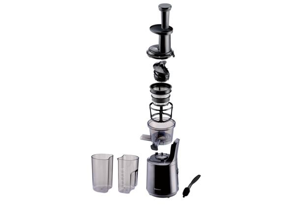 300W Slow Juicer