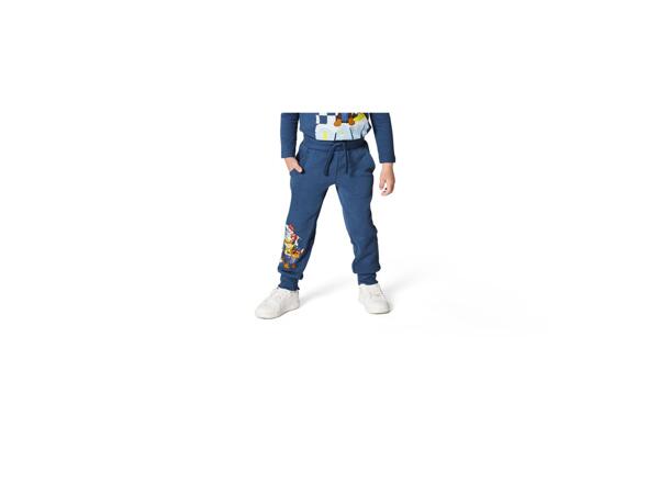 Boys' joggers "Jurassic World, Paw Patrol"