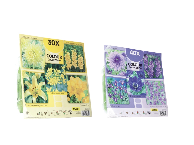 Flower Bulb Selection