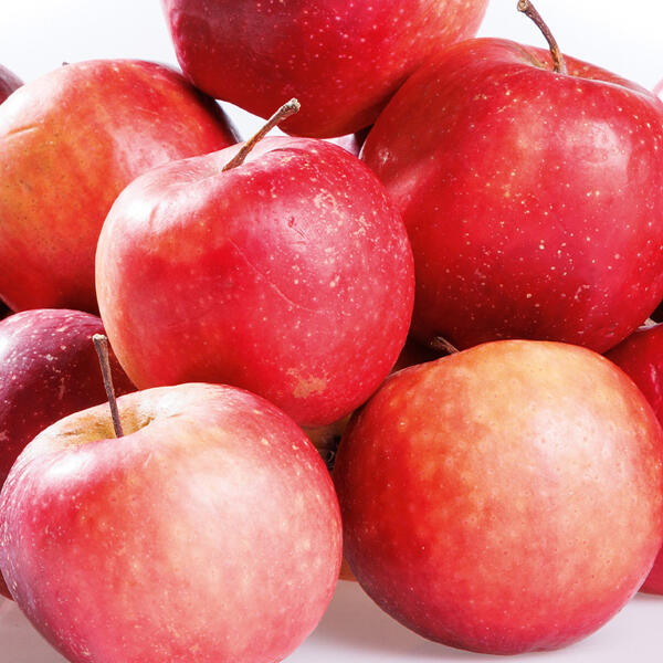 Äpfel "Kissabel"