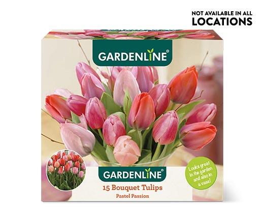Gardenline Perfect Match Bulbs Assorted Varieties