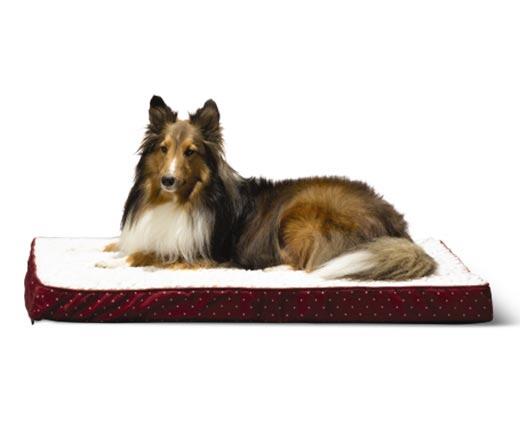 Heart to Tail 
 Orthopedic Pet Bed