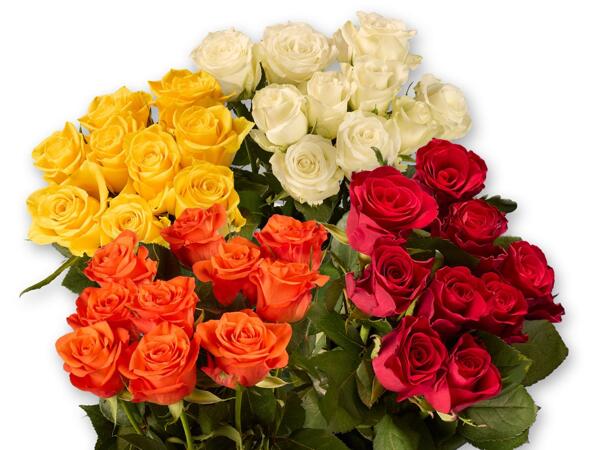 Bunch of Roses