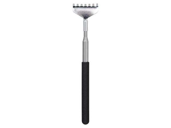 Shoe horn, back scratcher or head massager