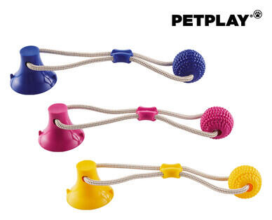 Active Pet Toy Assortment