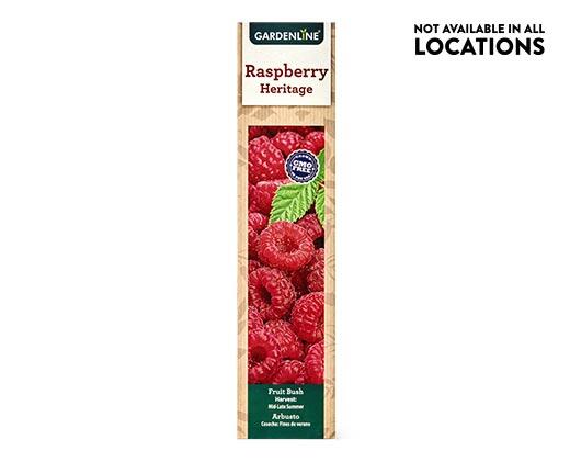 Gardenline 
 Berry Bush Assorted Varieties