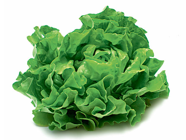Österreichischer Häuptelsalat