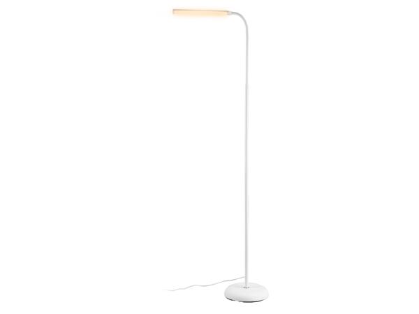 LED Floor Lamp