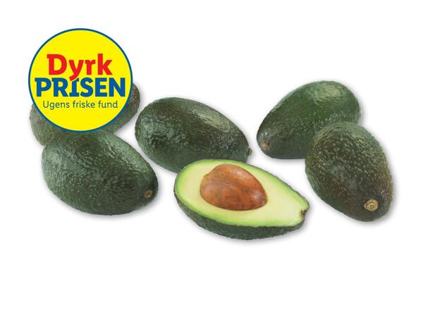 Avocado