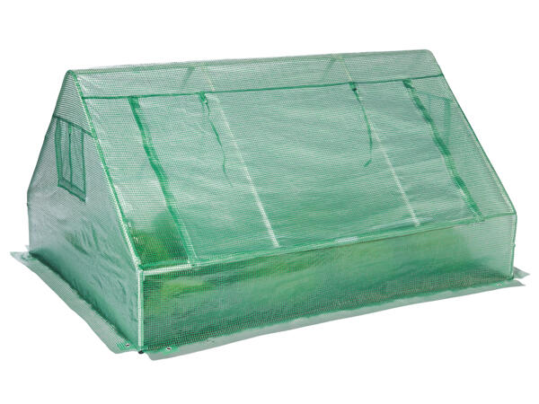 Cold Frame