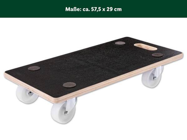 Transporthilfe