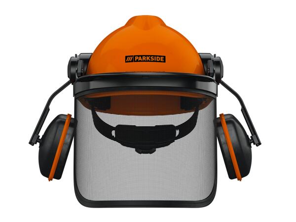 Forestry Safety Helmet
