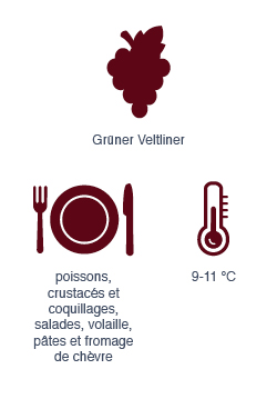 Grüner Veltliner