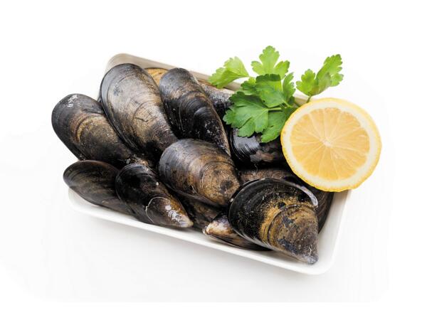 Mussels