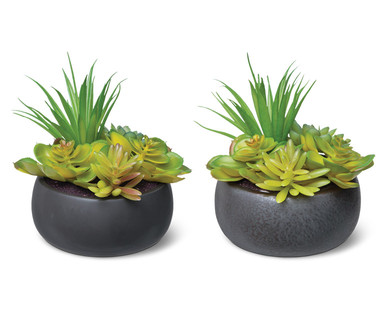 Huntington Home Faux Succulent Plant Assortment