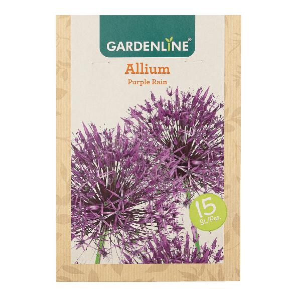 GARDENLINE(R) 				Bulbes à fleurs ail d'ornement
