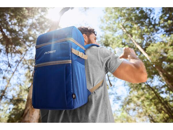 Cooler Bag Backpack, 10L