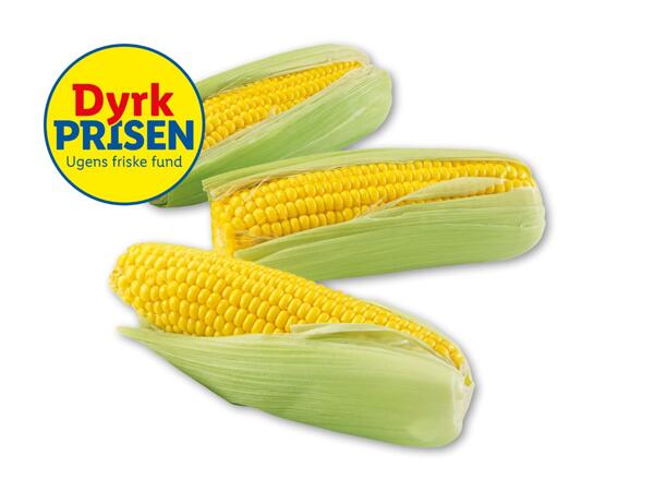 Nyhøstede danske majs