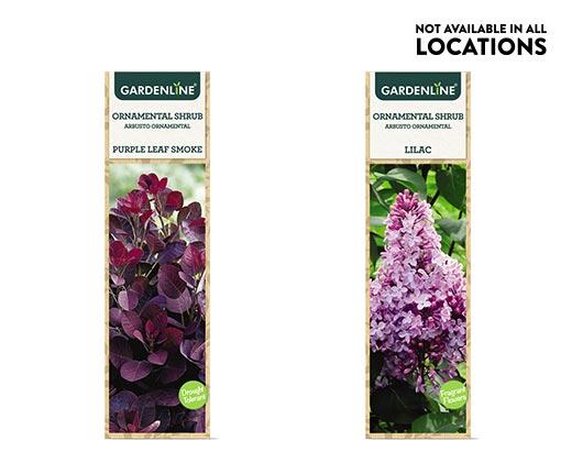 Gardenline
Ornamental Shrub Assorted Varieties