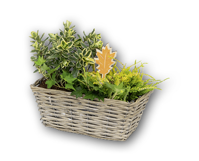 Composition florale pour l'automne