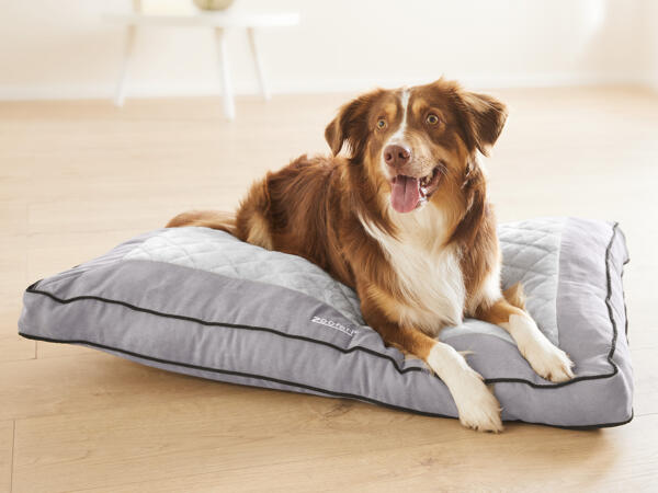 Hundebett