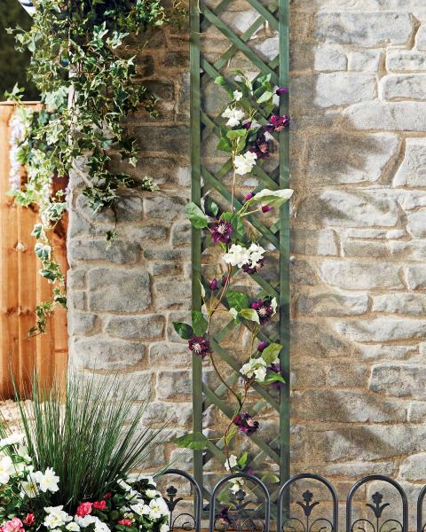Framed Fixed Trellis